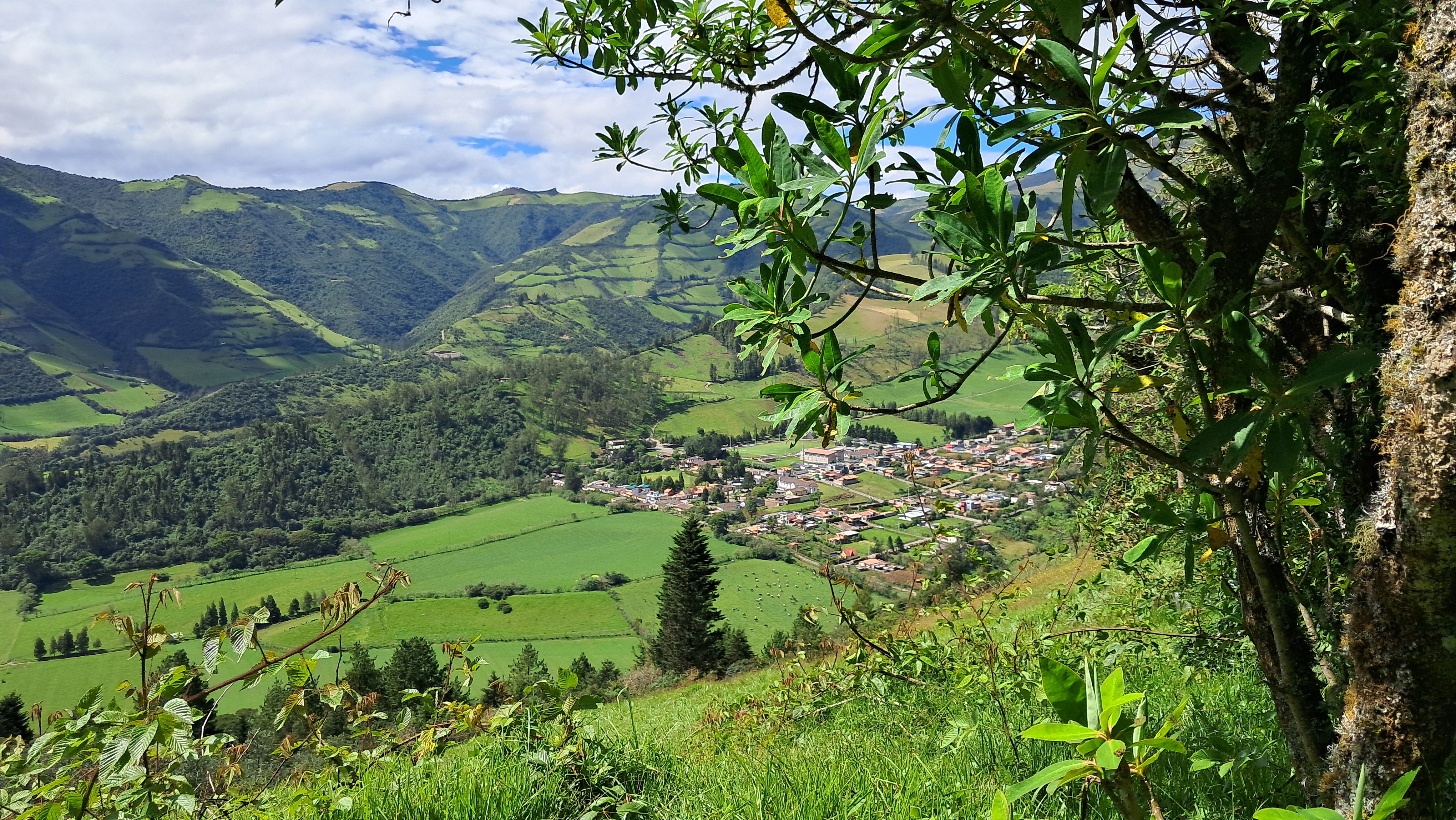 Paisaje natural de Nono
